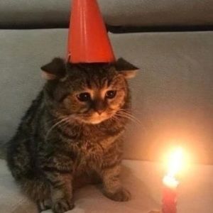 Meet your Posher, Hailey